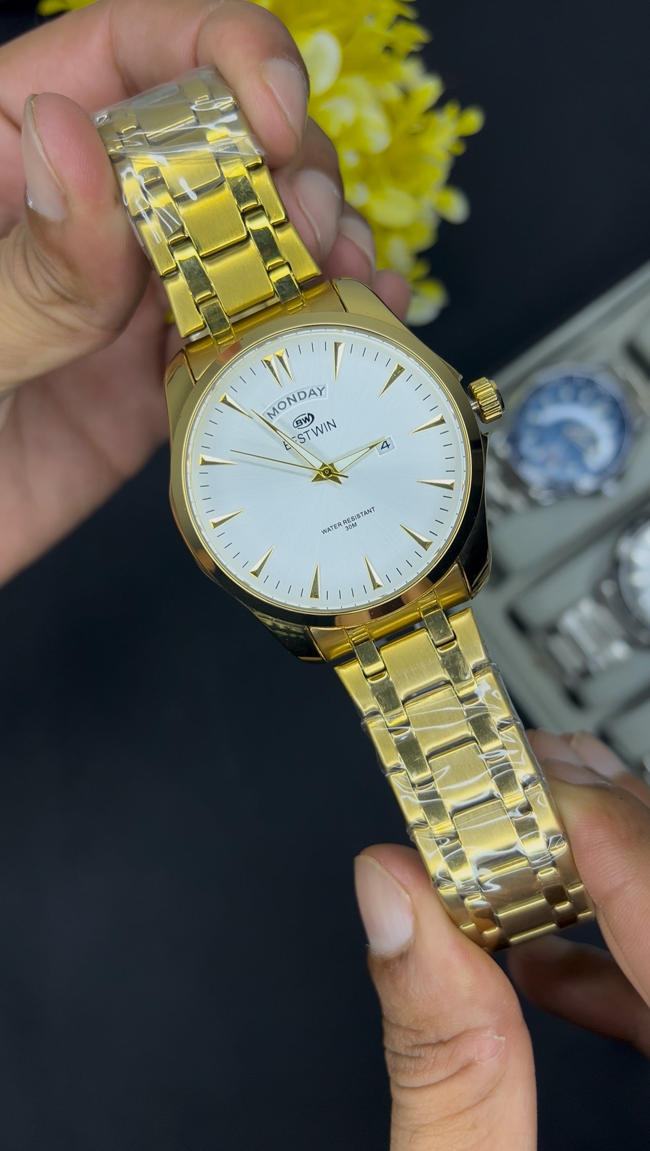 Bestwin (Gold-White)